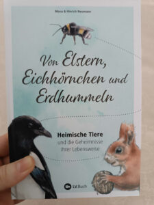 Read more about the article Von Elstern, Eichhörnchen und Erdhummeln: Heimische Tiere und die Geheimnisse ihrer Lebensweise