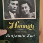 Buchcover Hannah von Binjamin Zwi