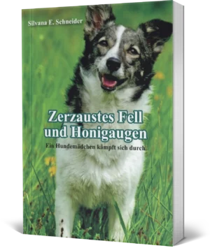 Zerzaustes Fell und Honigaugen