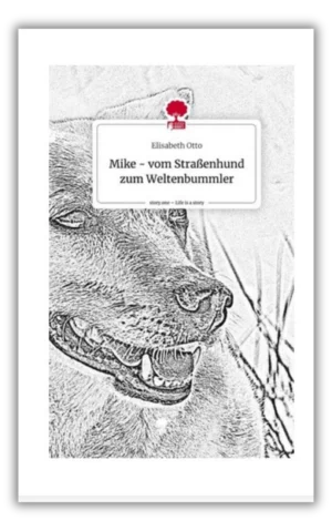 Mike – vom Straßenhund zum Weltenbummler