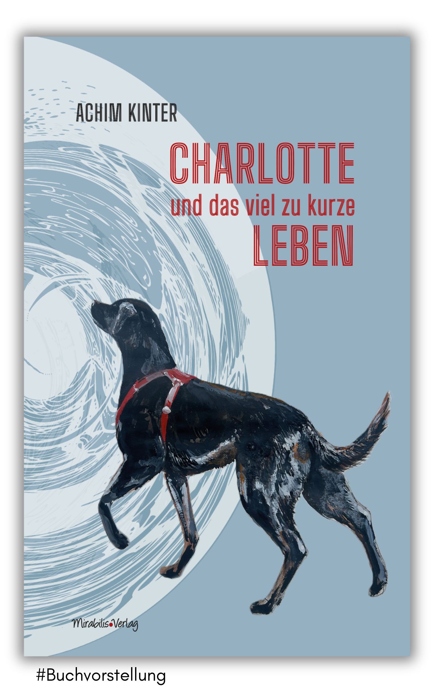 charlotte und das viel zu kurze leben von achim kinter